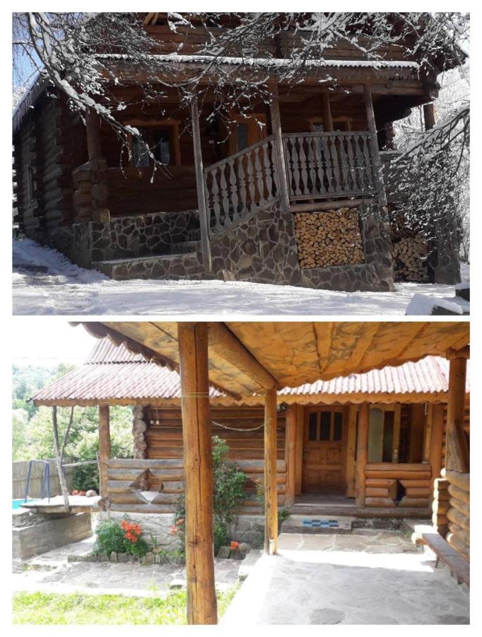 "Бджілка" І " Садиба Для Відпочинку" Lyuta Exterior foto